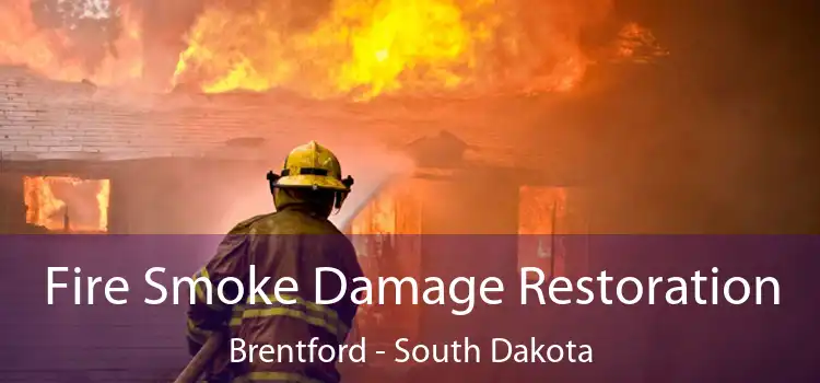 Fire Smoke Damage Restoration Brentford - South Dakota