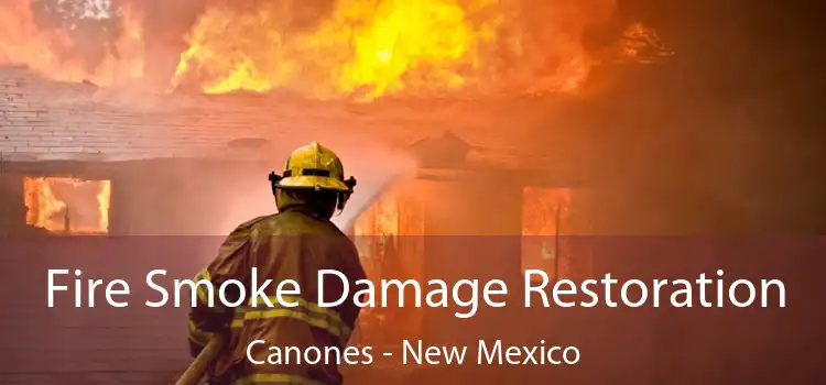 Fire Smoke Damage Restoration Canones - New Mexico