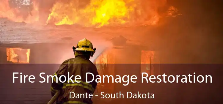 Fire Smoke Damage Restoration Dante - South Dakota