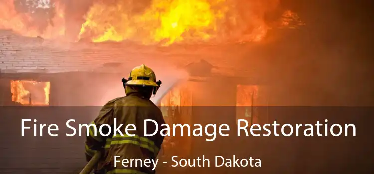 Fire Smoke Damage Restoration Ferney - South Dakota