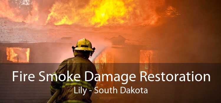Fire Smoke Damage Restoration Lily - South Dakota