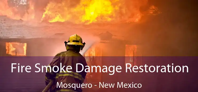 Fire Smoke Damage Restoration Mosquero - New Mexico