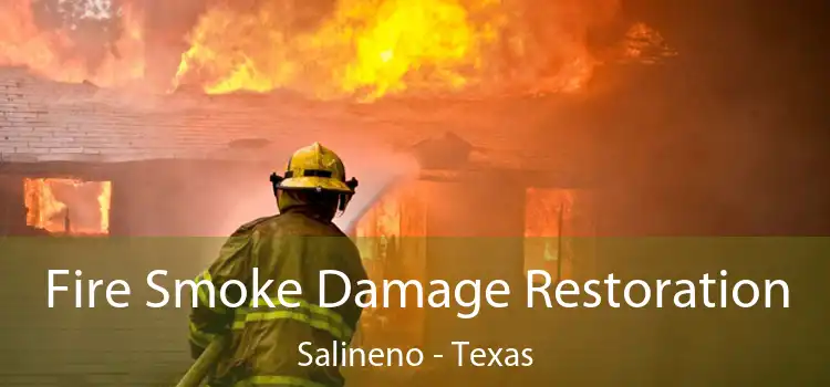 Fire Smoke Damage Restoration Salineno - Texas