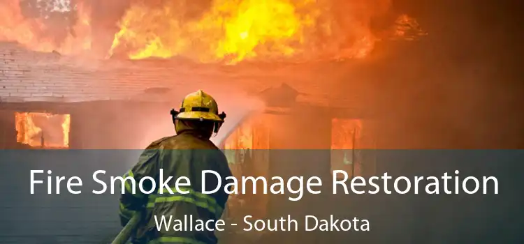 Fire Smoke Damage Restoration Wallace - South Dakota