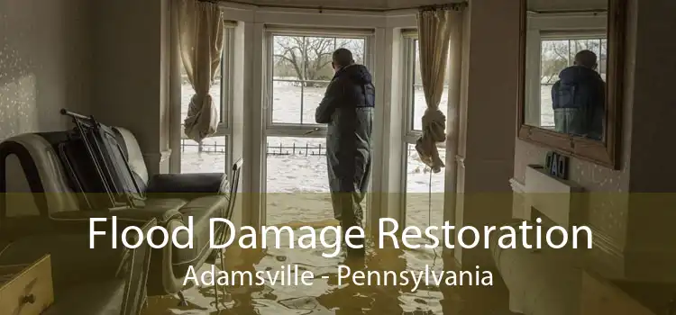 Flood Damage Restoration Adamsville - Pennsylvania