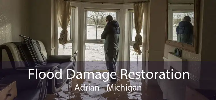 Flood Damage Restoration Adrian - Michigan