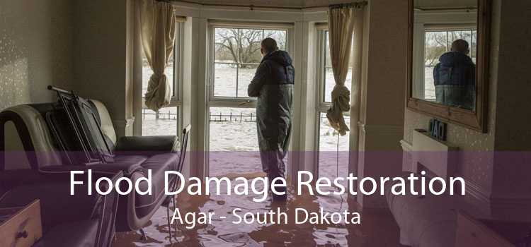 Flood Damage Restoration Agar - South Dakota