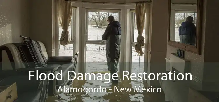 Flood Damage Restoration Alamogordo - New Mexico