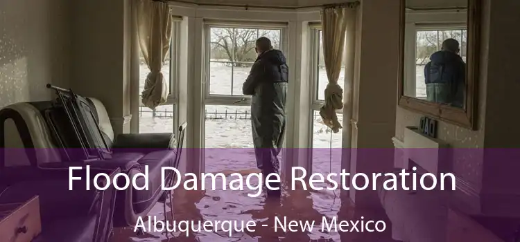 Flood Damage Restoration Albuquerque - New Mexico