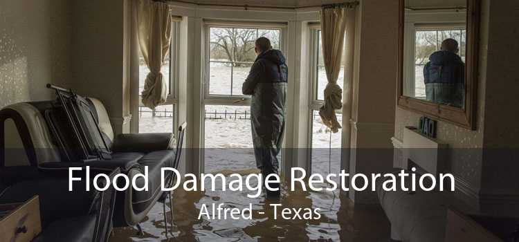 Flood Damage Restoration Alfred - Texas