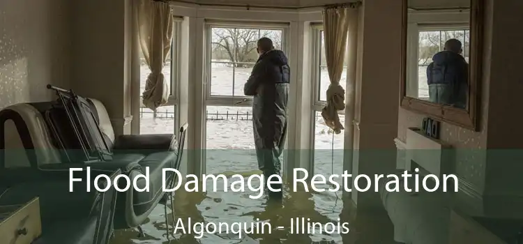 Flood Damage Restoration Algonquin - Illinois