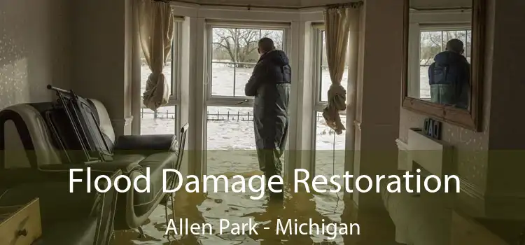 Flood Damage Restoration Allen Park - Michigan