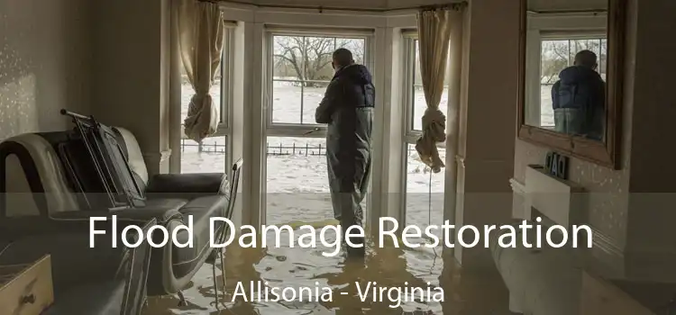 Flood Damage Restoration Allisonia - Virginia