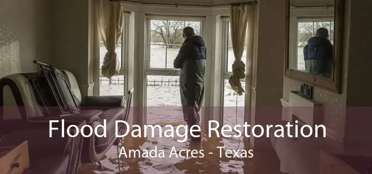 Flood Damage Restoration Amada Acres - Texas