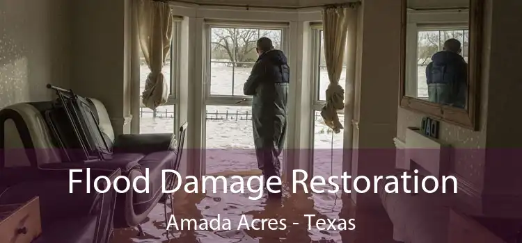 Flood Damage Restoration Amada Acres - Texas