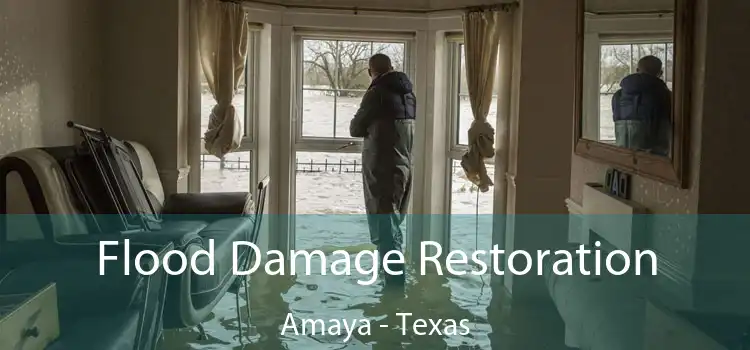 Flood Damage Restoration Amaya - Texas