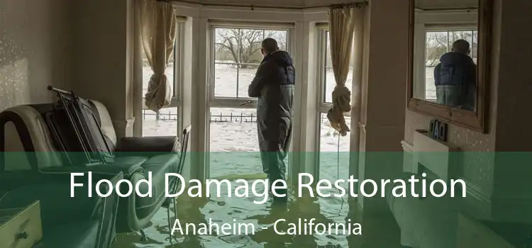 Flood Damage Restoration Anaheim - California