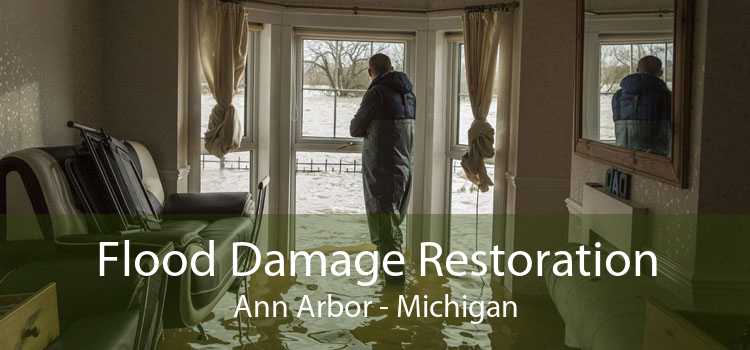 Flood Damage Restoration Ann Arbor - Michigan