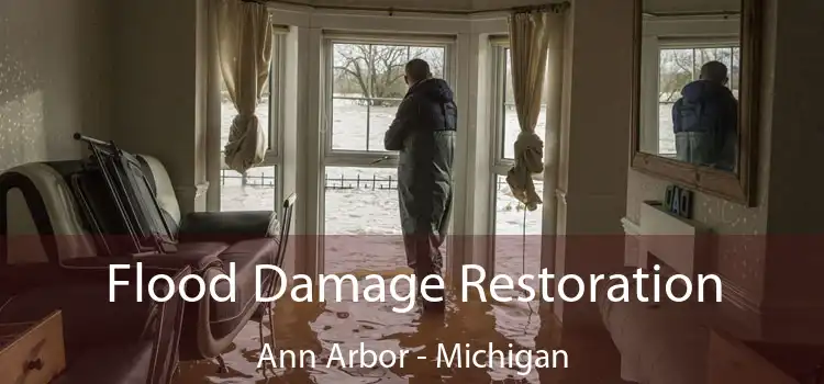 Flood Damage Restoration Ann Arbor - Michigan