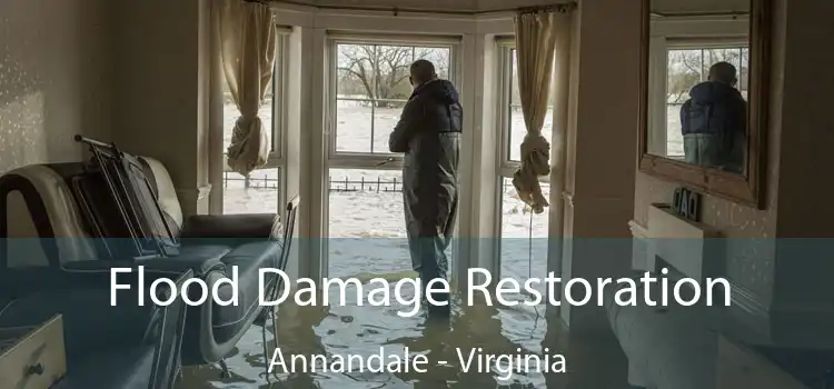 Flood Damage Restoration Annandale - Virginia