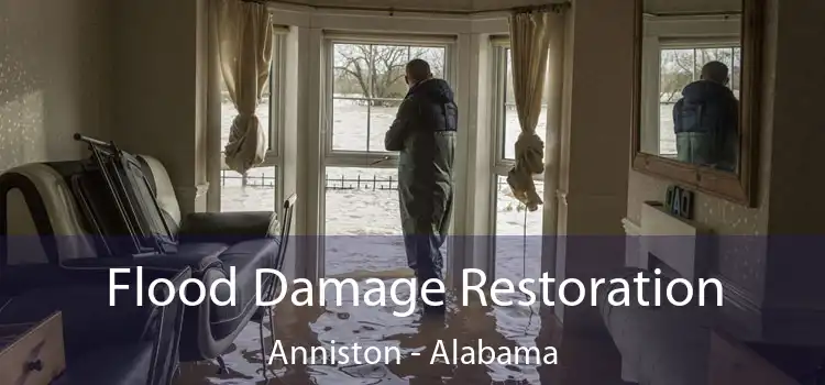 Flood Damage Restoration Anniston - Alabama