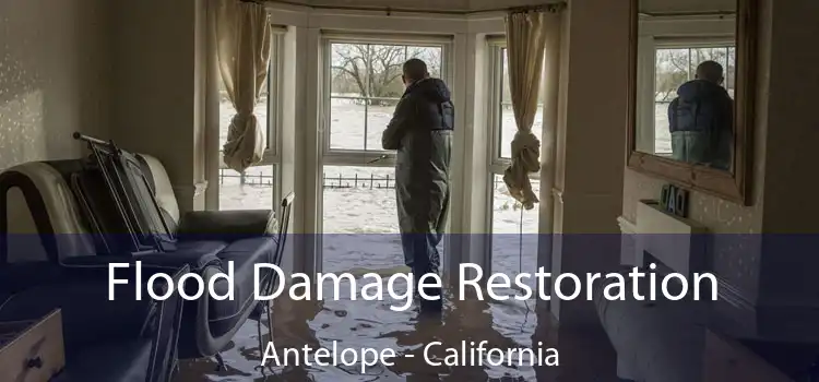 Flood Damage Restoration Antelope - California