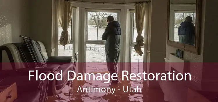 Flood Damage Restoration Antimony - Utah