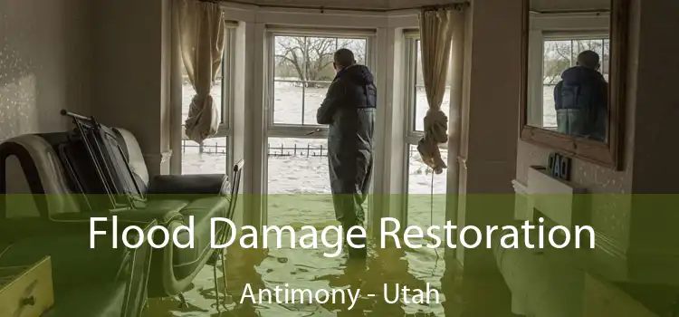 Flood Damage Restoration Antimony - Utah