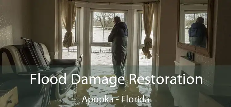 Flood Damage Restoration Apopka - Florida