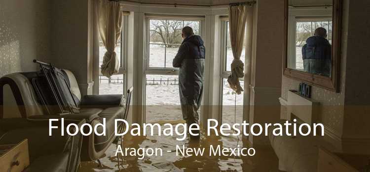 Flood Damage Restoration Aragon - New Mexico