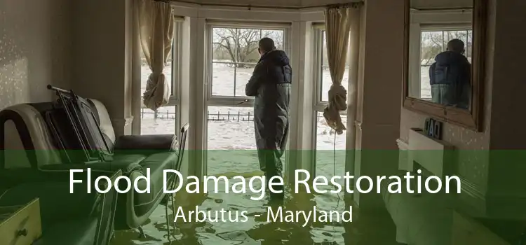 Flood Damage Restoration Arbutus - Maryland