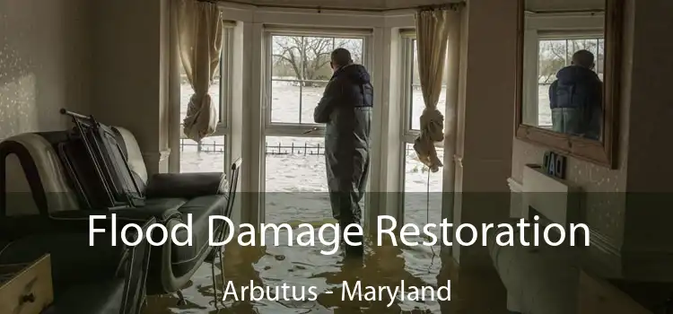 Flood Damage Restoration Arbutus - Maryland