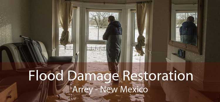 Flood Damage Restoration Arrey - New Mexico