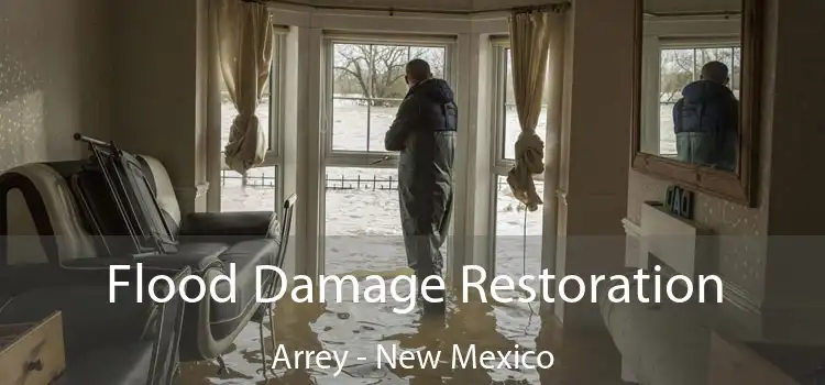 Flood Damage Restoration Arrey - New Mexico