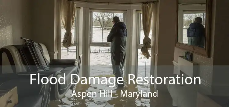 Flood Damage Restoration Aspen Hill - Maryland