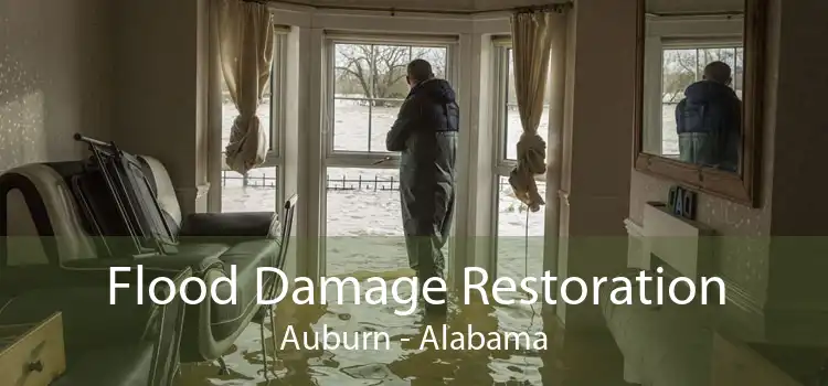 Flood Damage Restoration Auburn - Alabama