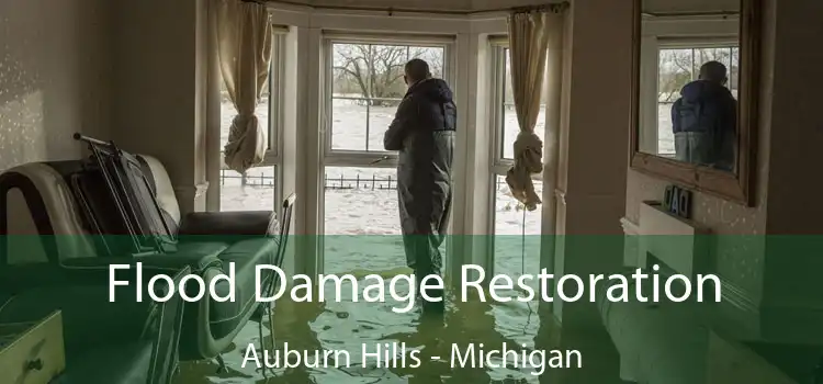 Flood Damage Restoration Auburn Hills - Michigan