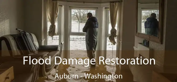 Flood Damage Restoration Auburn - Washington