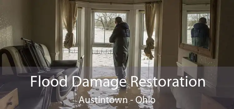 Flood Damage Restoration Austintown - Ohio