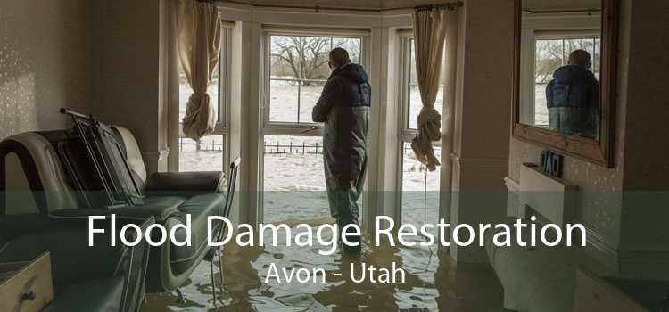 Flood Damage Restoration Avon - Utah