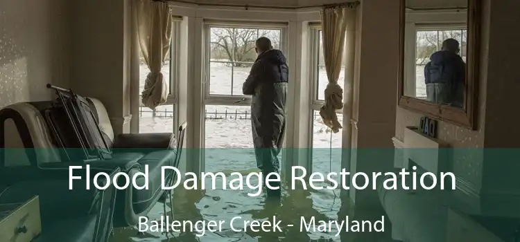 Flood Damage Restoration Ballenger Creek - Maryland