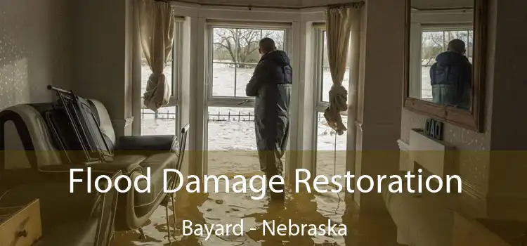 Flood Damage Restoration Bayard - Nebraska