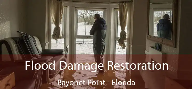 Flood Damage Restoration Bayonet Point - Florida