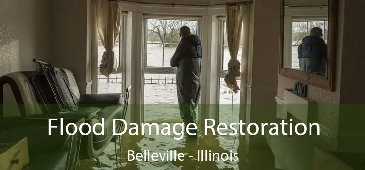 Flood Damage Restoration Belleville - Illinois