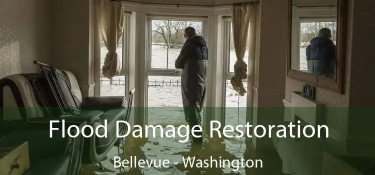 Flood Damage Restoration Bellevue - Washington