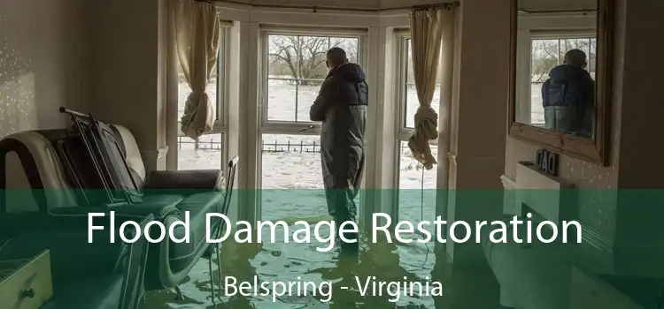 Flood Damage Restoration Belspring - Virginia