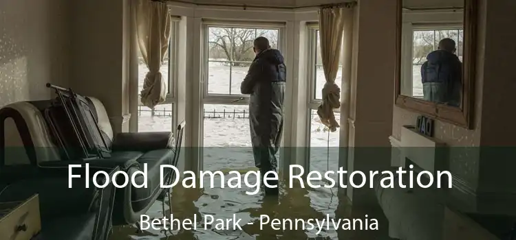 Flood Damage Restoration Bethel Park - Pennsylvania