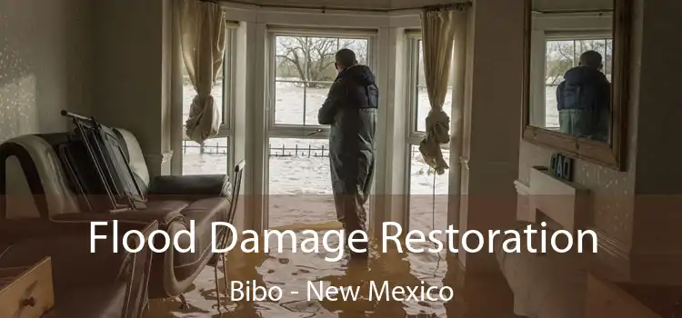 Flood Damage Restoration Bibo - New Mexico