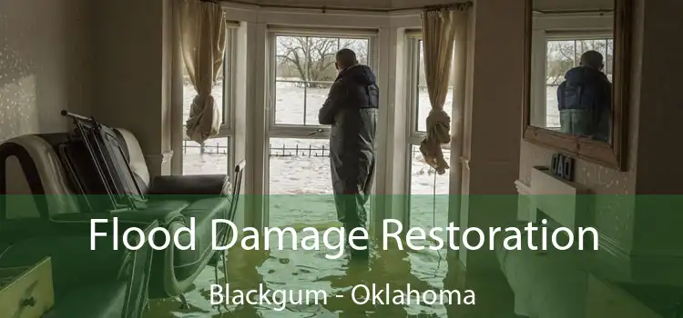 Flood Damage Restoration Blackgum - Oklahoma