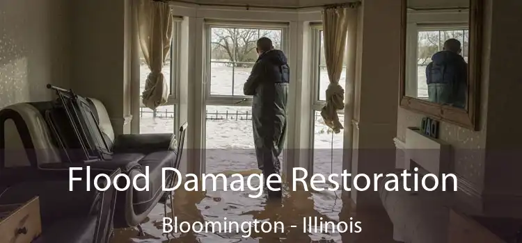 Flood Damage Restoration Bloomington - Illinois